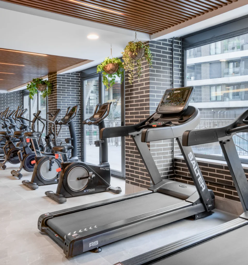 Moderno gimnasio con cintas de correr, bicicletas estáticas y máquinas elípticas alineadas junto a grandes ventanales. Las plantas colgantes y el techo con paneles de madera añaden un toque de estilo a la amplia y luminosa zona de entrenamiento.