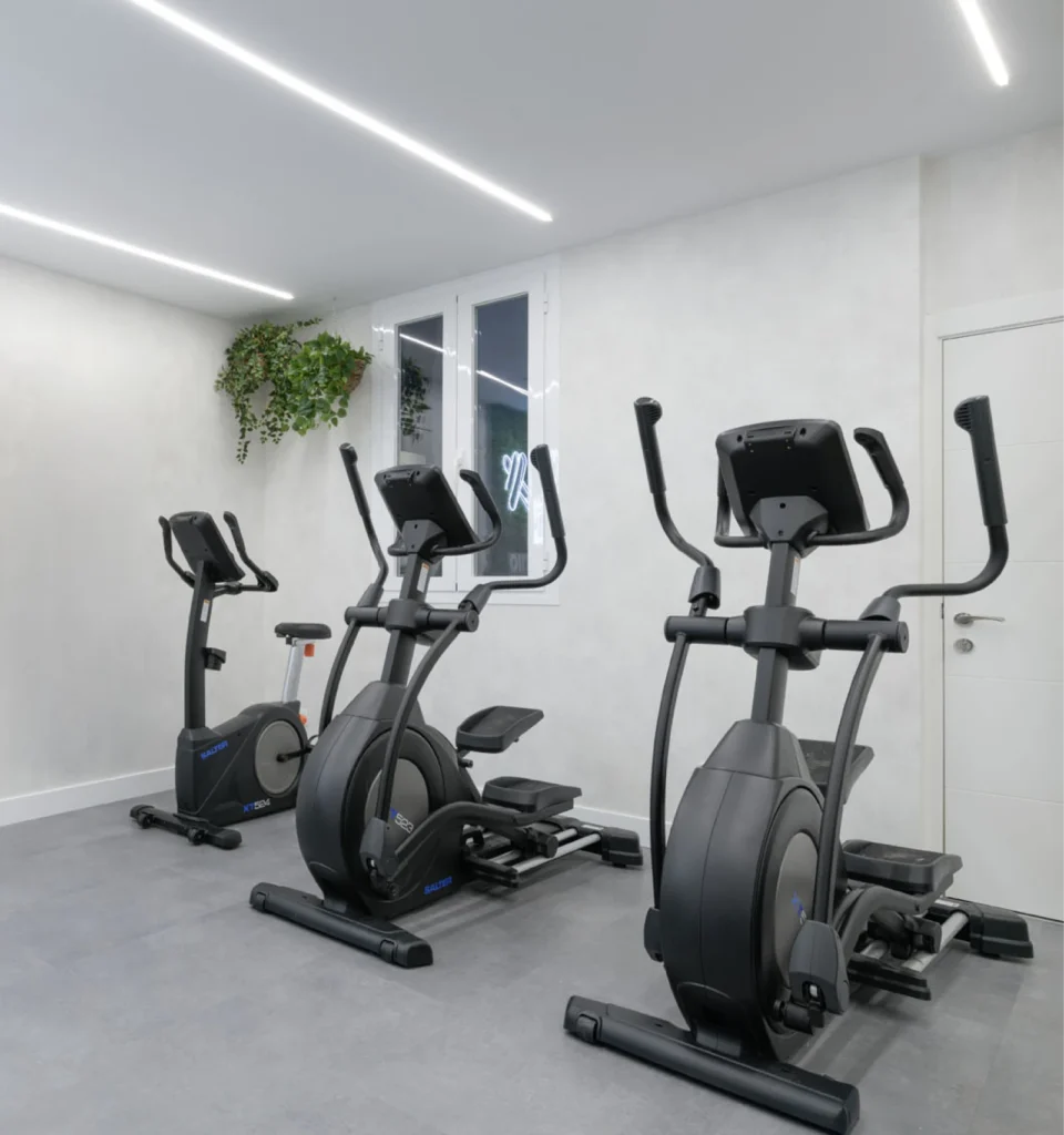 Una sala de gimnasio limpia y moderna con dos máquinas elípticas y una bicicleta estática sobre un suelo gris; paredes blancas, una puerta, una ventana y una planta verde en una estantería añaden luminosidad.